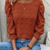 Women's Casual Solid Color Cutout Puff Sleeve Blouse For Autumn