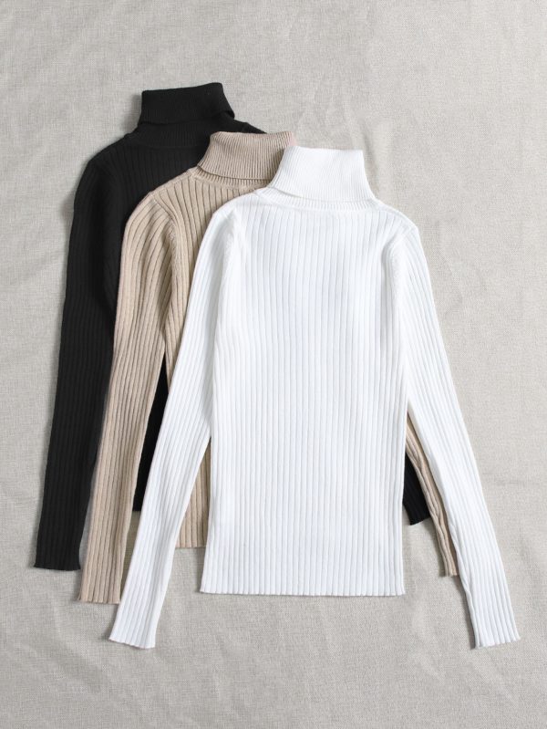 3pcs Turtle Neck Ribbed Knit Sweater