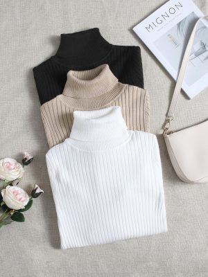 3pcs Turtle Neck Ribbed Knit Sweater