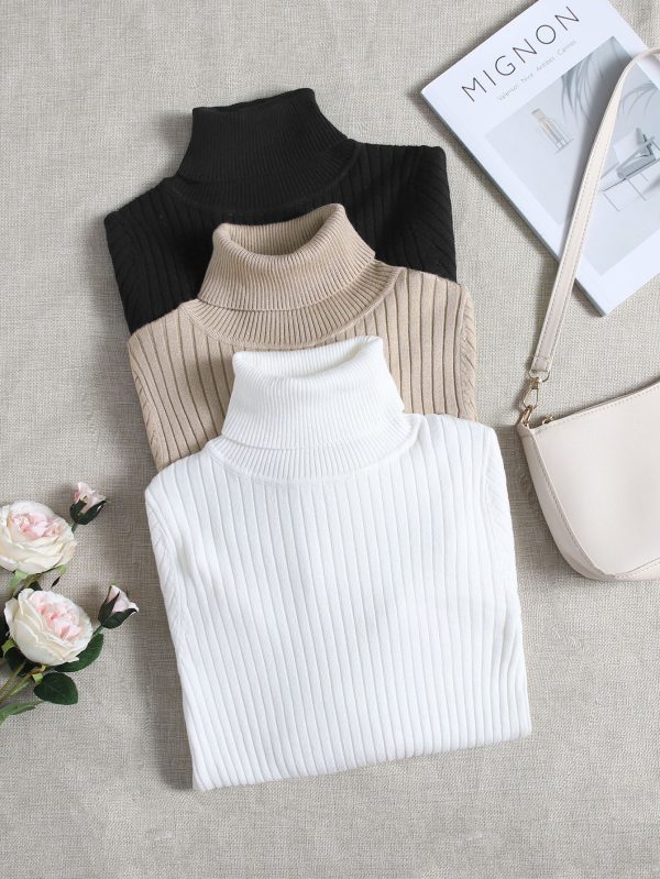 3pcs Turtle Neck Ribbed Knit Sweater
