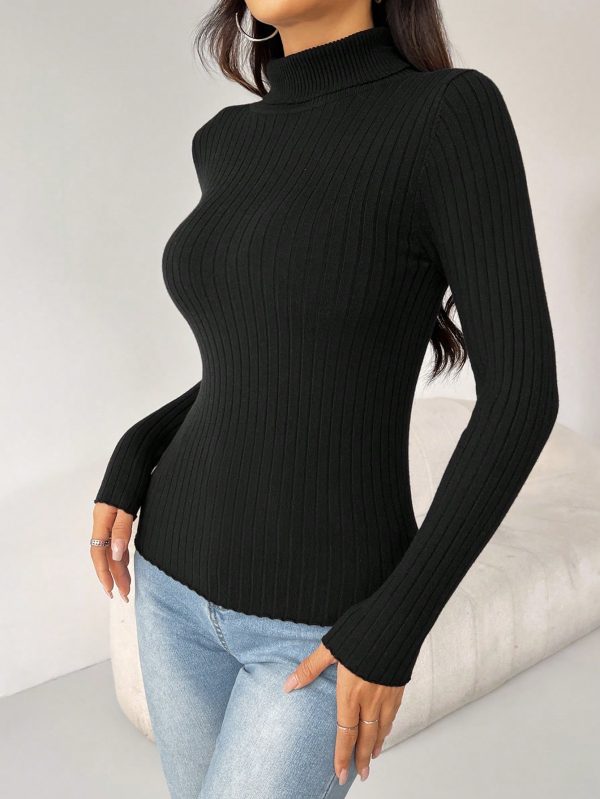 3pcs Turtle Neck Ribbed Knit Sweater
